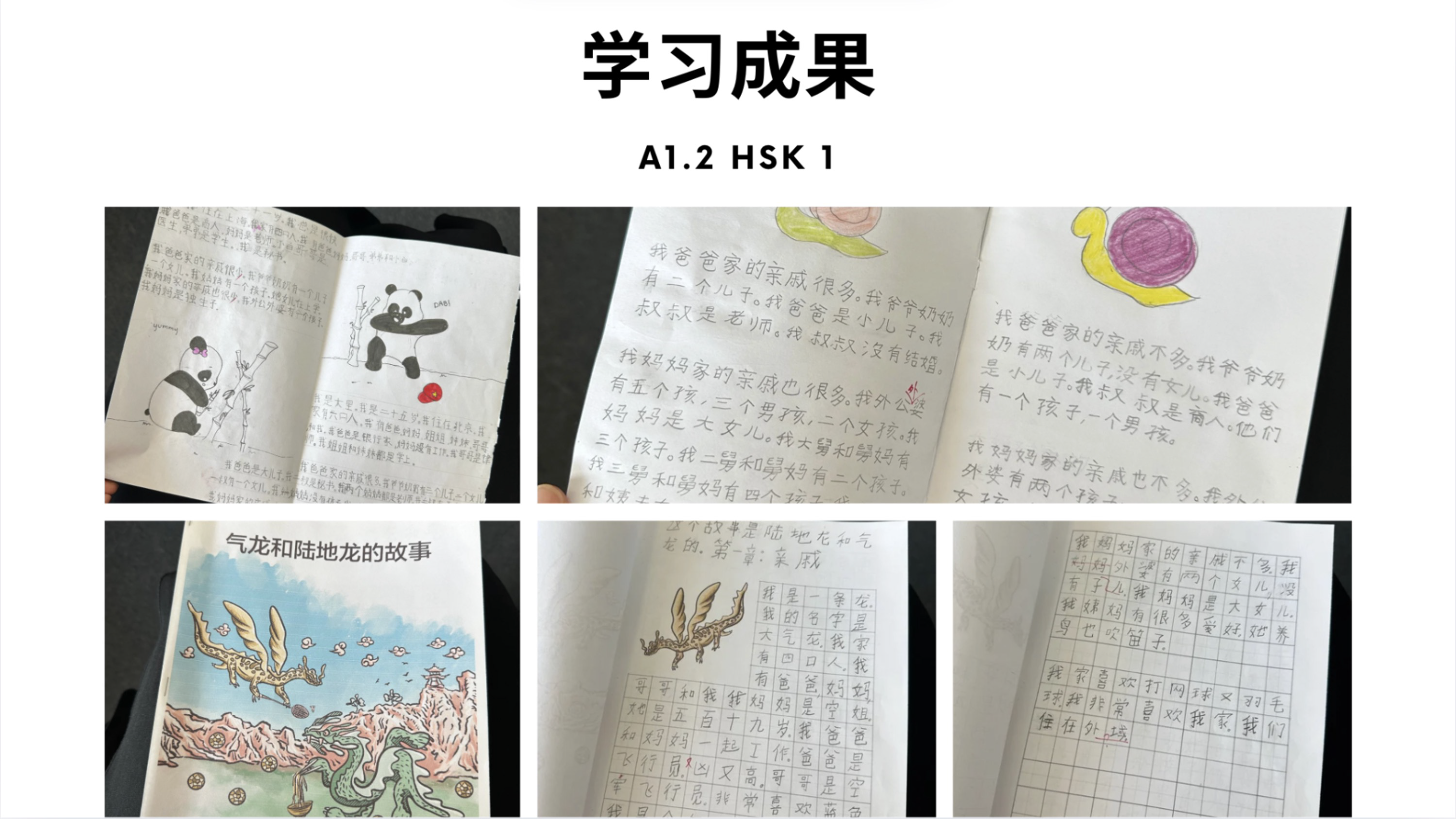 Empowering Chinese Teaching with HSK: Our Speakers Presentation(图47)